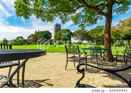 農業文化園・戸田川緑地、緑豊かで広大な芝生広場〈愛知県名古屋市〉 82040442
