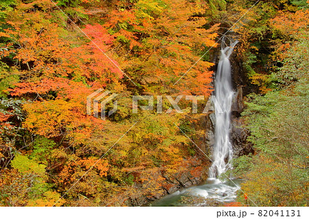山梨県山梨市三富川浦 紅葉の西沢渓谷大久保の滝 山梨県山梨市三富川浦 紅葉の西沢渓谷大久保の滝 82041131