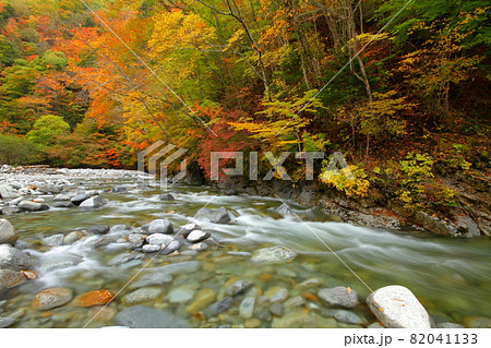 山梨県山梨市三富川浦 紅葉の西沢渓谷の水流 山梨県山梨市三富川浦 紅葉の西沢渓谷の水流 82041133