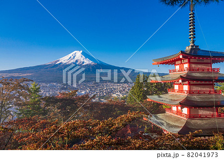 (山梨県)桜紅葉した新倉山浅間公園、忠霊塔と新雪富士 (山梨県)桜紅葉した新倉山浅間公園、忠霊塔と新雪富士 82041973