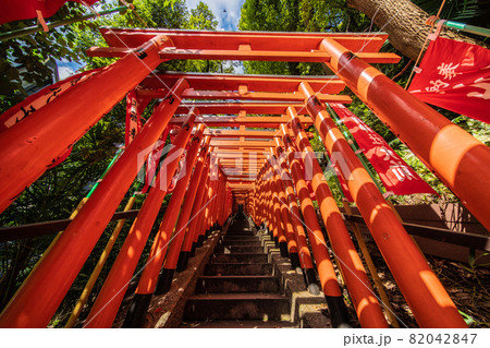 日本の東京都市景観　日枝神社・千本鳥居（上空に鳥）などを望む 82042847