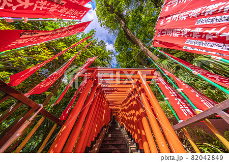 日本の東京都市景観 日枝神社・千本鳥居などを望む 日本の東京都市景観 日枝神社・千本鳥居などを望む 82042849