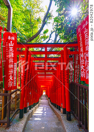 日本の東京都市景観　日枝神社・千本鳥居などを望む 82042978