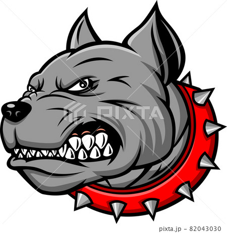 bulldog head mascot on white background bulldog head mascot on white background 82043030