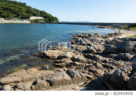 【愛知県】　松島 82043959