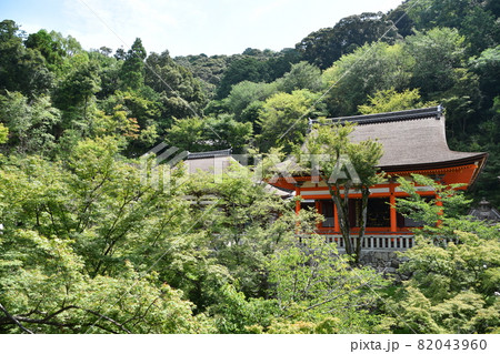 夏の清水寺 阿弥陀堂 夏の清水寺 阿弥陀堂 82043960