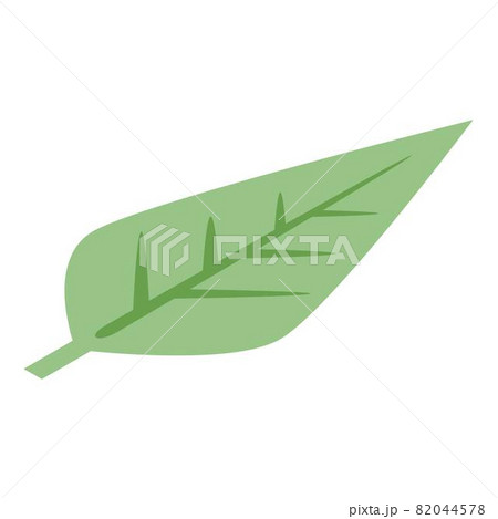 Tea leaf icon, isometric style 82044578