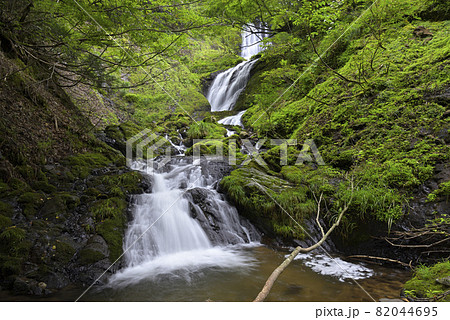 岩井谷大滝の上流にある無名の滝(兵庫県美方郡新温泉町) 岩井谷大滝の上流にある無名の滝(兵庫県美方郡新温泉町) 82044695