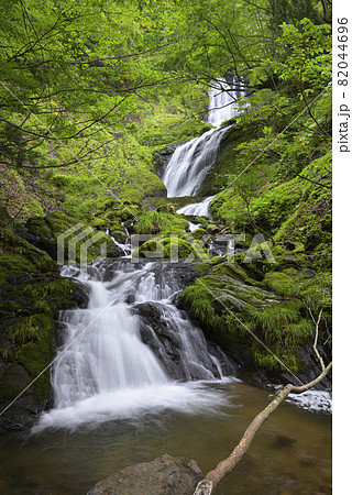 岩井谷大滝の上流にある無名の滝(兵庫県美方郡新温泉町) 岩井谷大滝の上流にある無名の滝(兵庫県美方郡新温泉町) 82044696