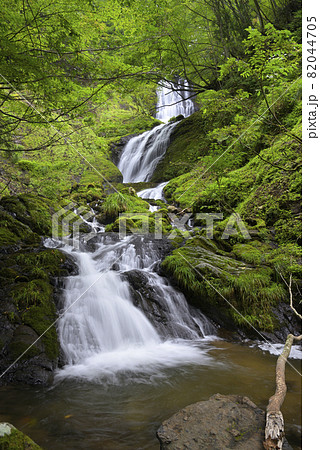 岩井谷大滝の上流にある無名の滝（兵庫県美方郡新温泉町） 82044705