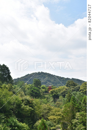 夏の清水寺　子安の塔 82044717