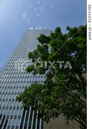高層ビルと緑の木 82045366
