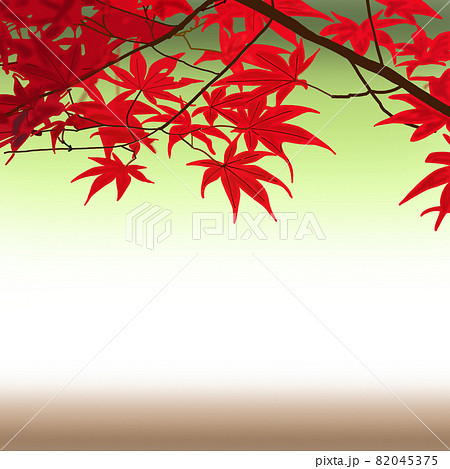紅葉ーモミジ 綺麗な景色のイラスト素材