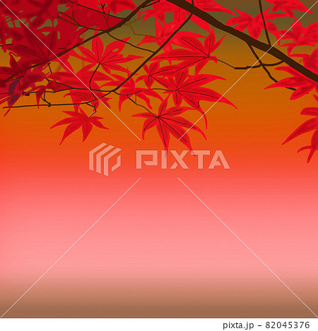 紅葉ーモミジ　綺麗な景色 82045376