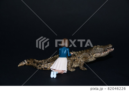 ワニと女性 ワニと女性 82046226