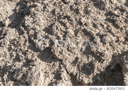 Rough coastal rock on a sunny day, natural stone 82047001