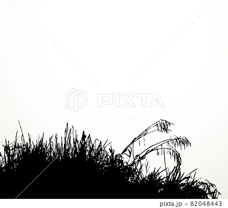 Silhouette of grass by the lake. Vector drawing 82048443