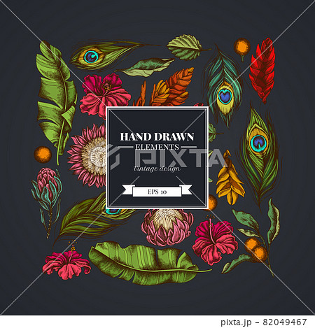 Square floral design on dark background with banana palm leaves, hibiscus, solanum, bromeliad Square floral design on dark background with banana palm leaves, hibiscus, solanum, bromeliad 82049467