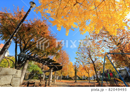 秋の公園風景 遊具とベンチ 秋の公園風景 遊具とベンチ 82049493