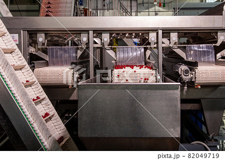 Machine process of sorting cherries before freezing. 82049719