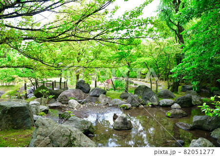 濁川公園(新潟県) 濁川公園(新潟県) 82051277