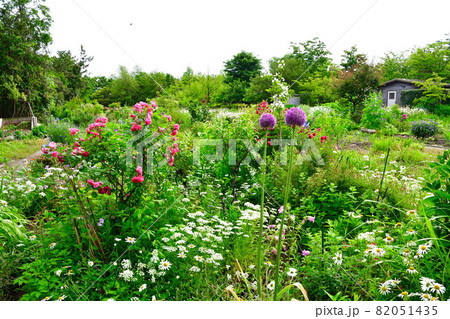 濁川公園 市民花壇(新潟県) 濁川公園 市民花壇(新潟県) 82051435
