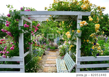 濁川公園 市民花壇(新潟県) 濁川公園 市民花壇(新潟県) 82051440