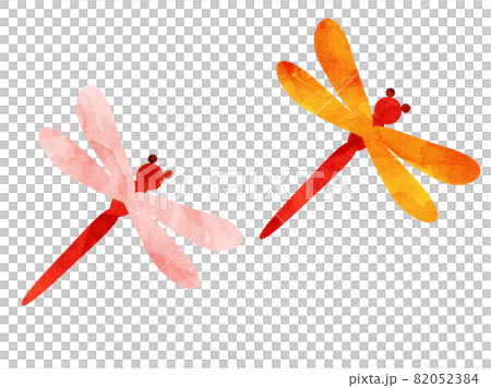 以水彩風格處理的紅蜻蜓的插圖 82052384