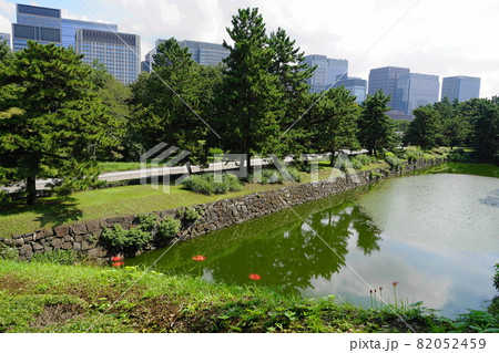 9月　千代田689白鳥濠･皇居江戸城跡 82052459
