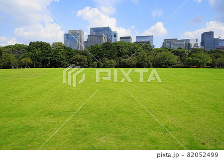 9月 千代田654本丸大芝生・皇居江戸城跡 9月 千代田654本丸大芝生・皇居江戸城跡 82052499