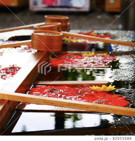 [金沢]石浦神社の花手水 82055089