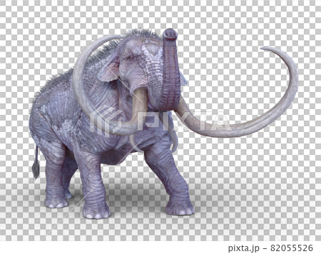 Mammoth 82055526