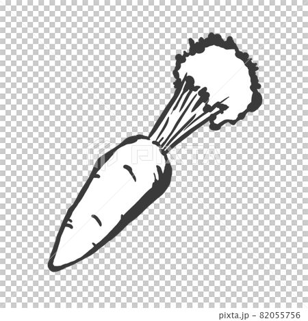 人参の手描き筆絵風イラスト 82055756