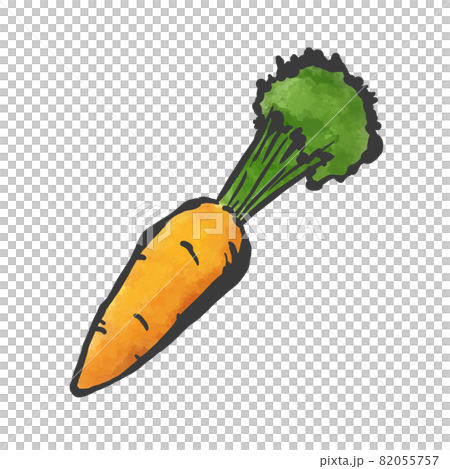人参の手描き筆絵風イラスト 82055757