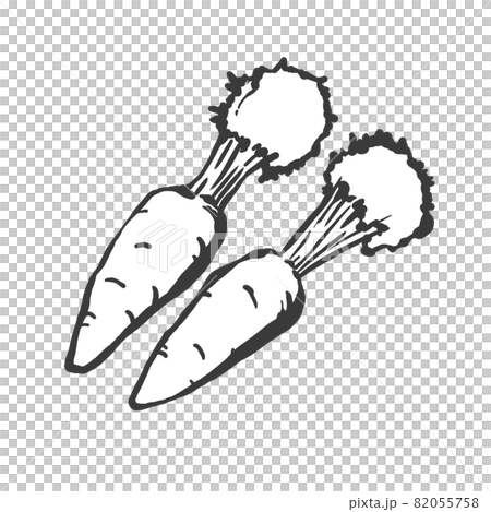 人参の手描き筆絵風イラスト 82055758