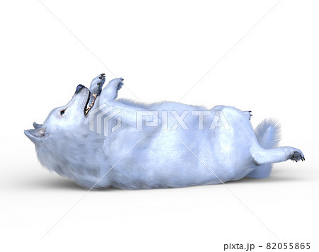 オオカミ 82055865