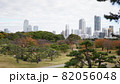 ビル群の中に存在する浜離宮恩賜庭園 82056048