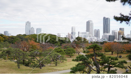 ビル群の中に存在する浜離宮恩賜庭園 82056048