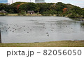 浜離宮恩賜庭園の池 82056050