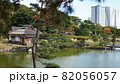 浜離宮恩賜庭園の池 82056057