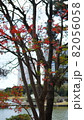 浜離宮恩賜庭園の紅葉 82056058