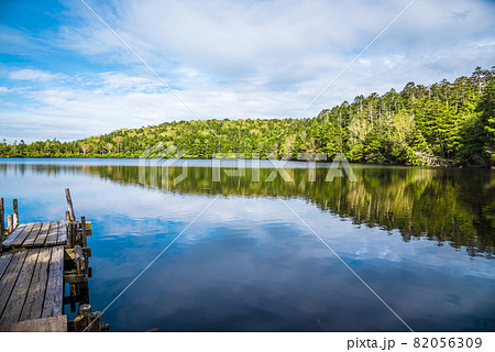 《長野県》佐久穂町　白駒の池 82056309
