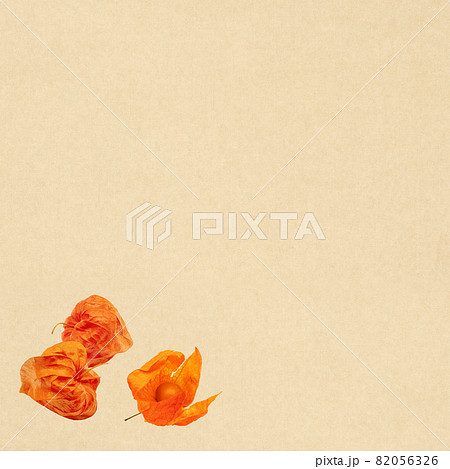 和紙とほおずき 82056326