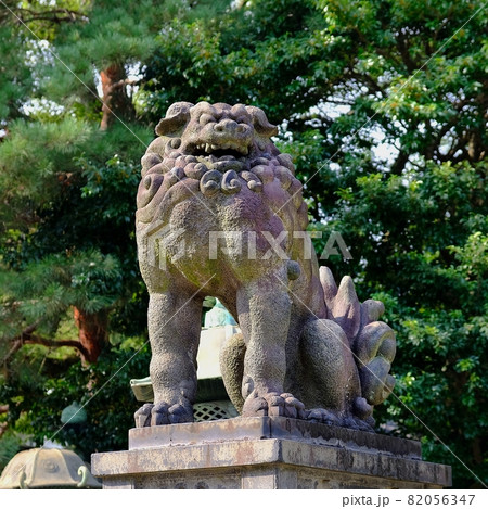 上野東照宮の狛犬 上野東照宮の狛犬 82056347