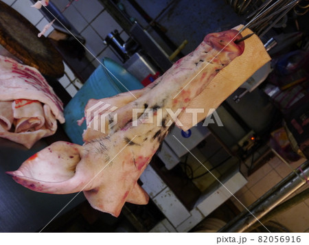 肉 人体 お肉 82056916