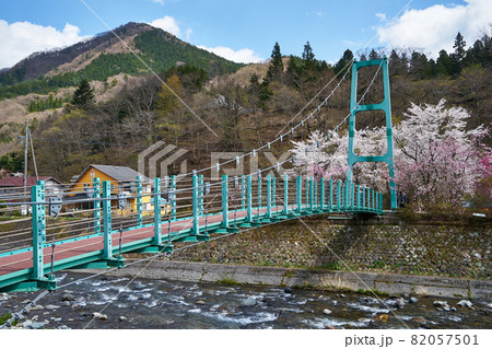 山梨県　道志川の桜とかっぱ橋 82057501