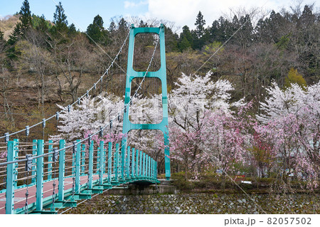 山梨県 道志川の桜とかっぱ橋 山梨県 道志川の桜とかっぱ橋 82057502
