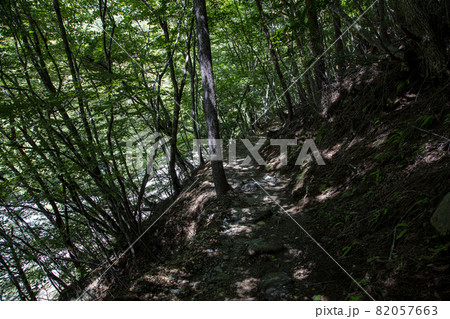 登山道 82057663