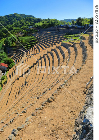 【愛媛県】快晴下の遊子段々畑 82057886