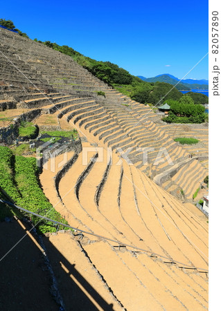【愛媛県】快晴下の遊子段々畑 82057890